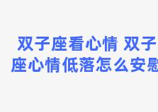 双子座看心情 双子座心情低落怎么安慰